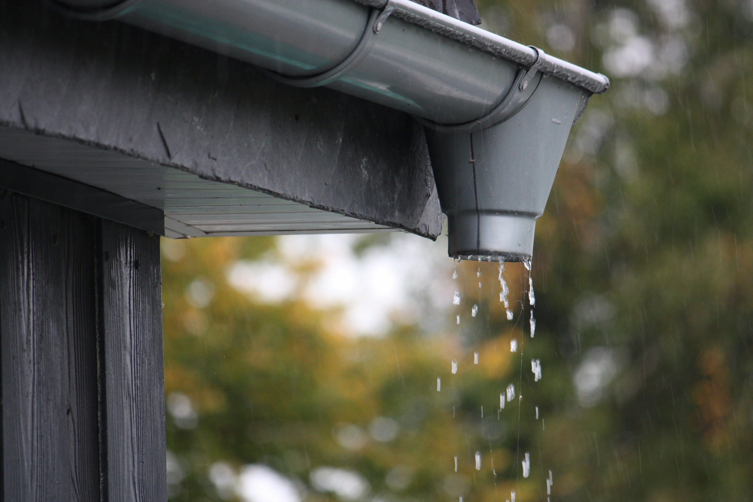 closeup shot of water drops falling from rain gutt 2025 02 02 14 03 08 utc scaled